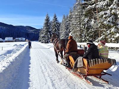 Discover Chocholowska sleigh ride