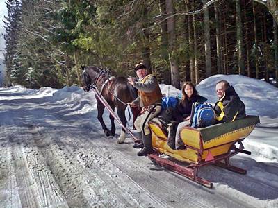 Discover Chocholowska sleigh ride