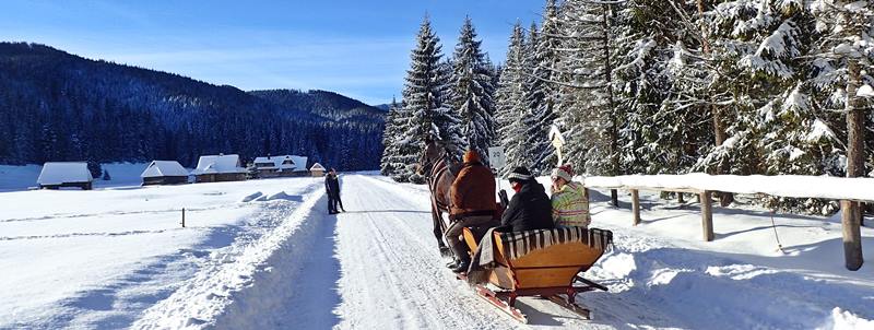 sleigh ride in the Chocholowska Valley