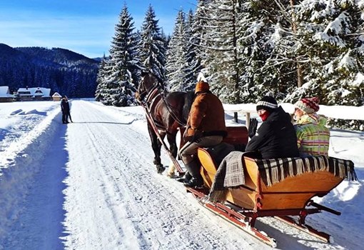 Zakopane sleigh ride in the Chocholowska Valley