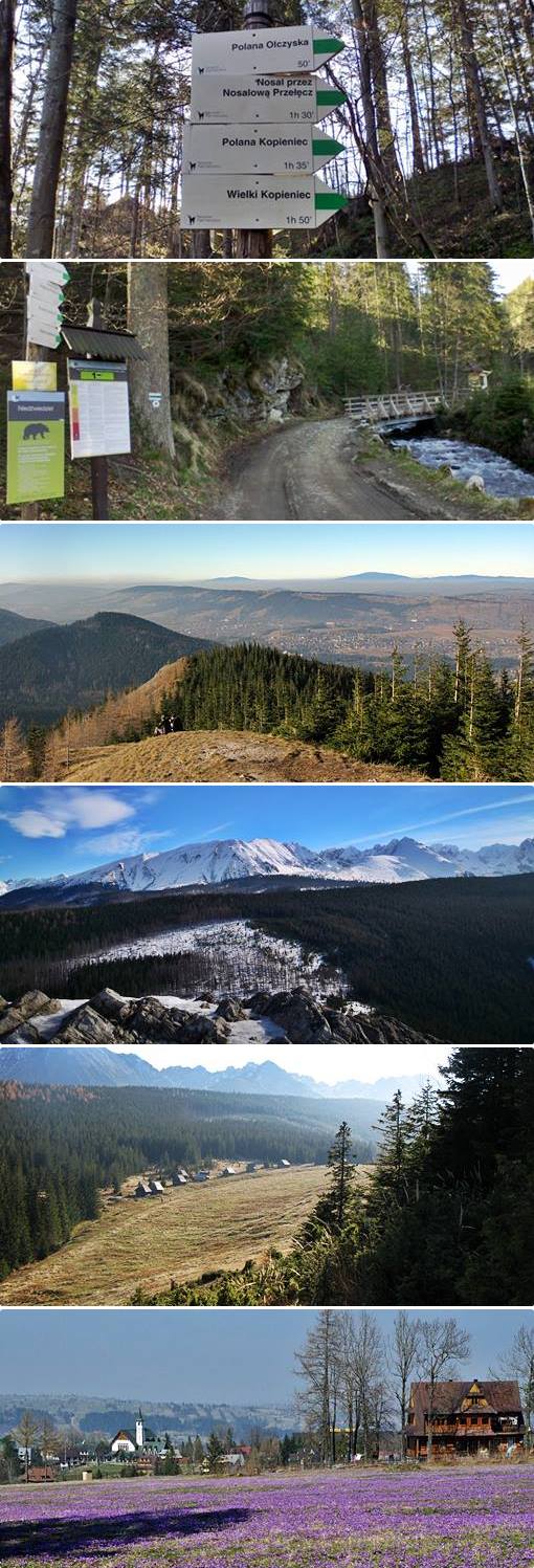 route 3 Olczyska Valley and Mt. Wielki Kopieniec route 3 Olczyska Valley and Mt. Wielki Kopieniec