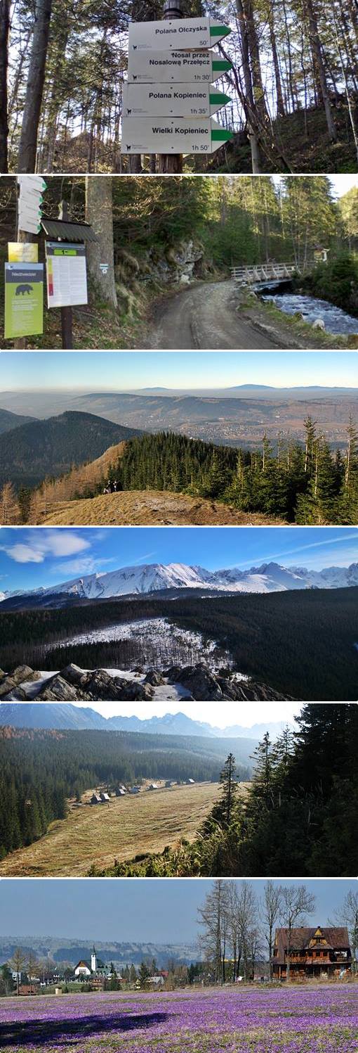 route 3 Olczyska Valley and Mt. Wielki Kopieniec