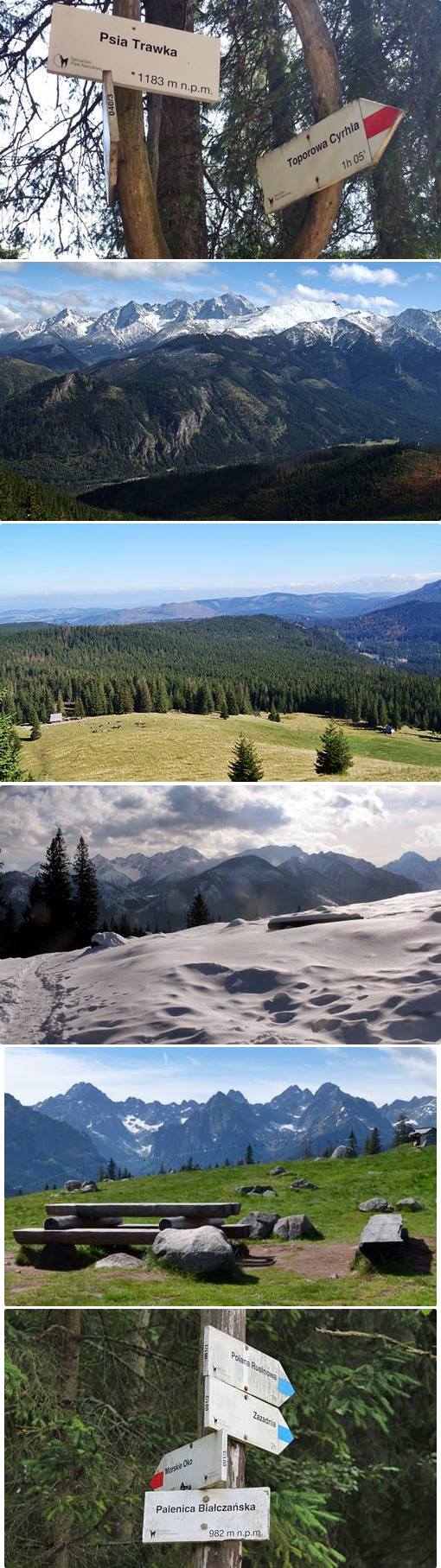 route 4 Kościeliska and Chocholowska Valleys route 4 Kościeliska and Chocholowska Valleys