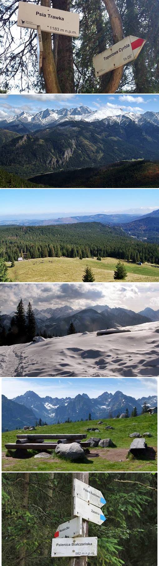 route 4 Kościeliska and Chocholowska Valleys 